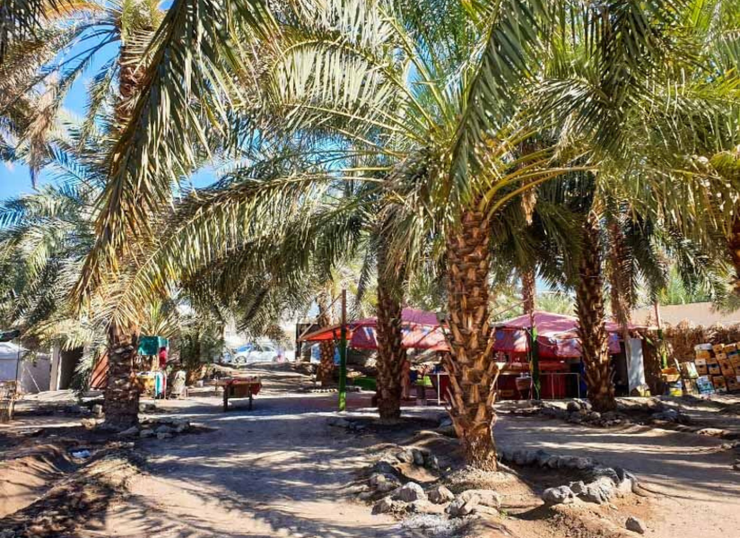 Garden of Salman Farsi